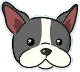 DagsHub